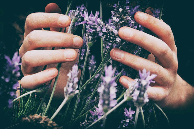 Botanical vs. Cannabis-Derived Terpenes