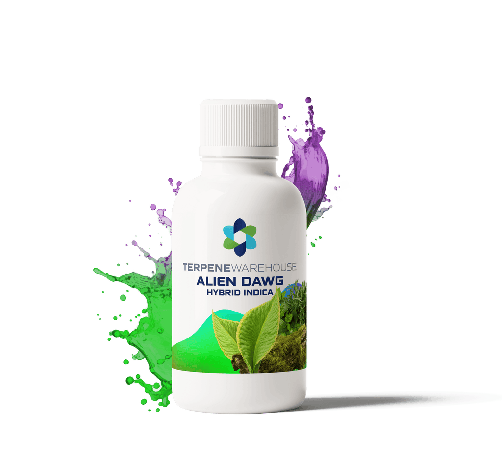 Alien Dawg Essence – Earthy Pine Aroma with Citrus Highlights