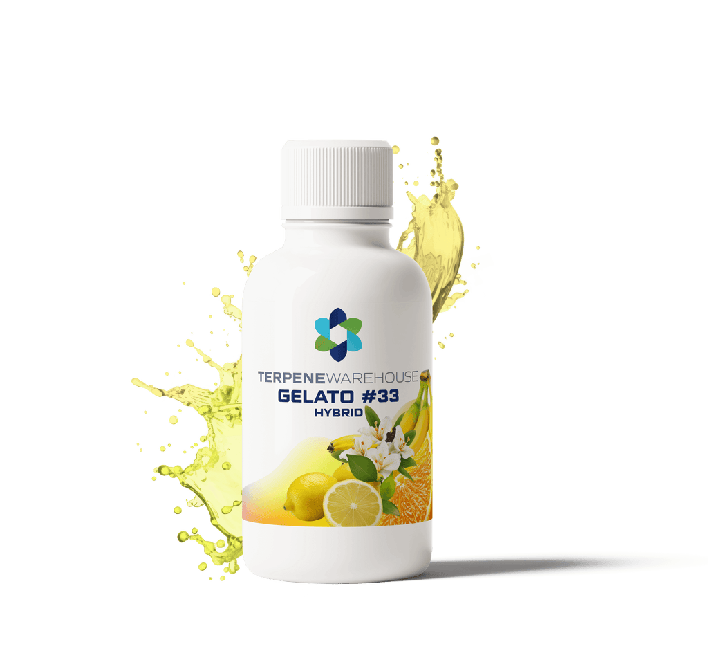Gelato 33 - Distinct Terpene Profile - Premium Aroma | TERPHOUSE