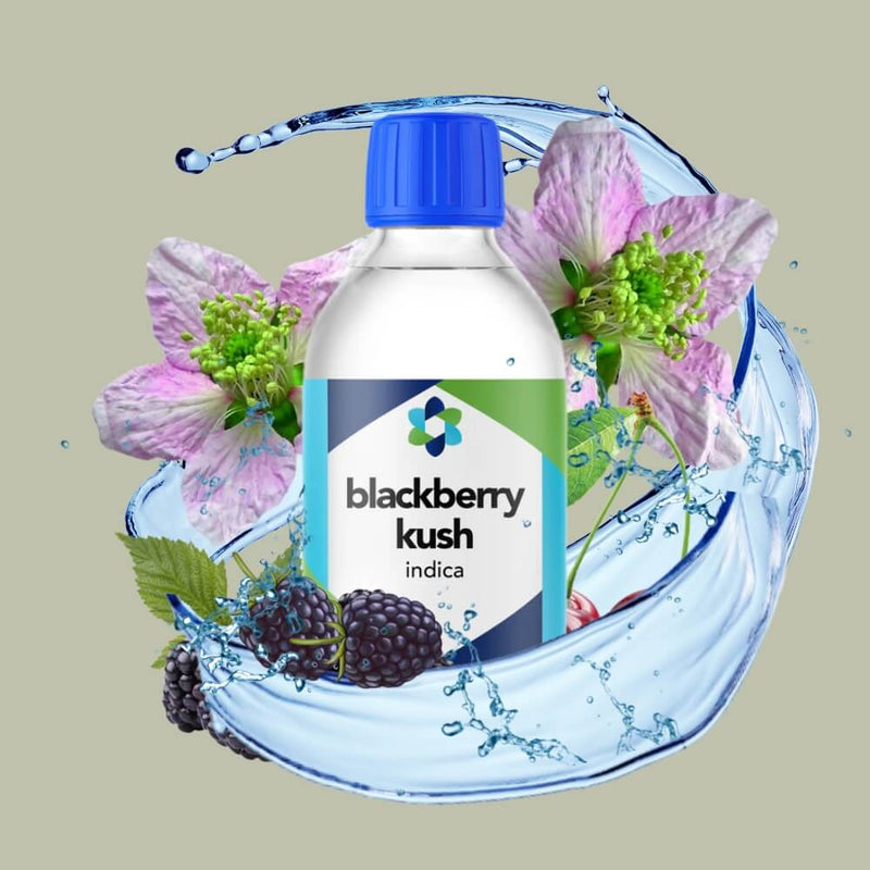 Indica Terpenes: Nature's Calming Aromatic Compounds