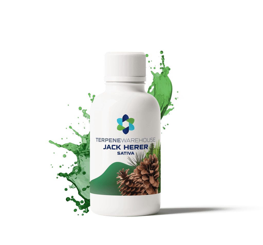 Jack Herer Terpenes - Pine and Citrus Aroma