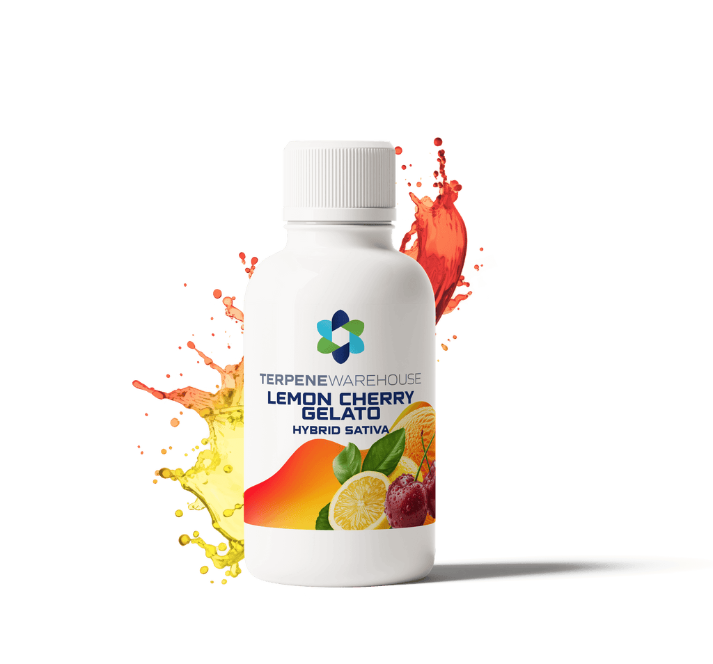 Lemon cherry gelato - Indica or Sativa - Potent Effects | TERPHOUSE