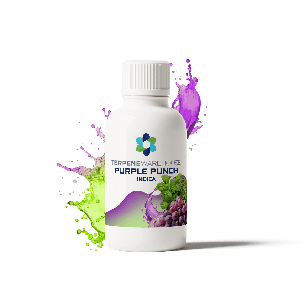 Purple Punch Terpenes - Grape Berry Sweet Aroma | TerpHouse Purple Punch Terpenes - Grape Berry Sweet Aroma | TerpHouse