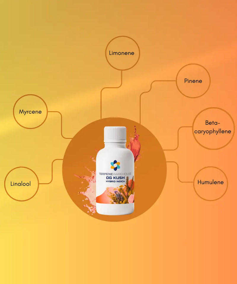 What Are Terpenes for Pain Relief?