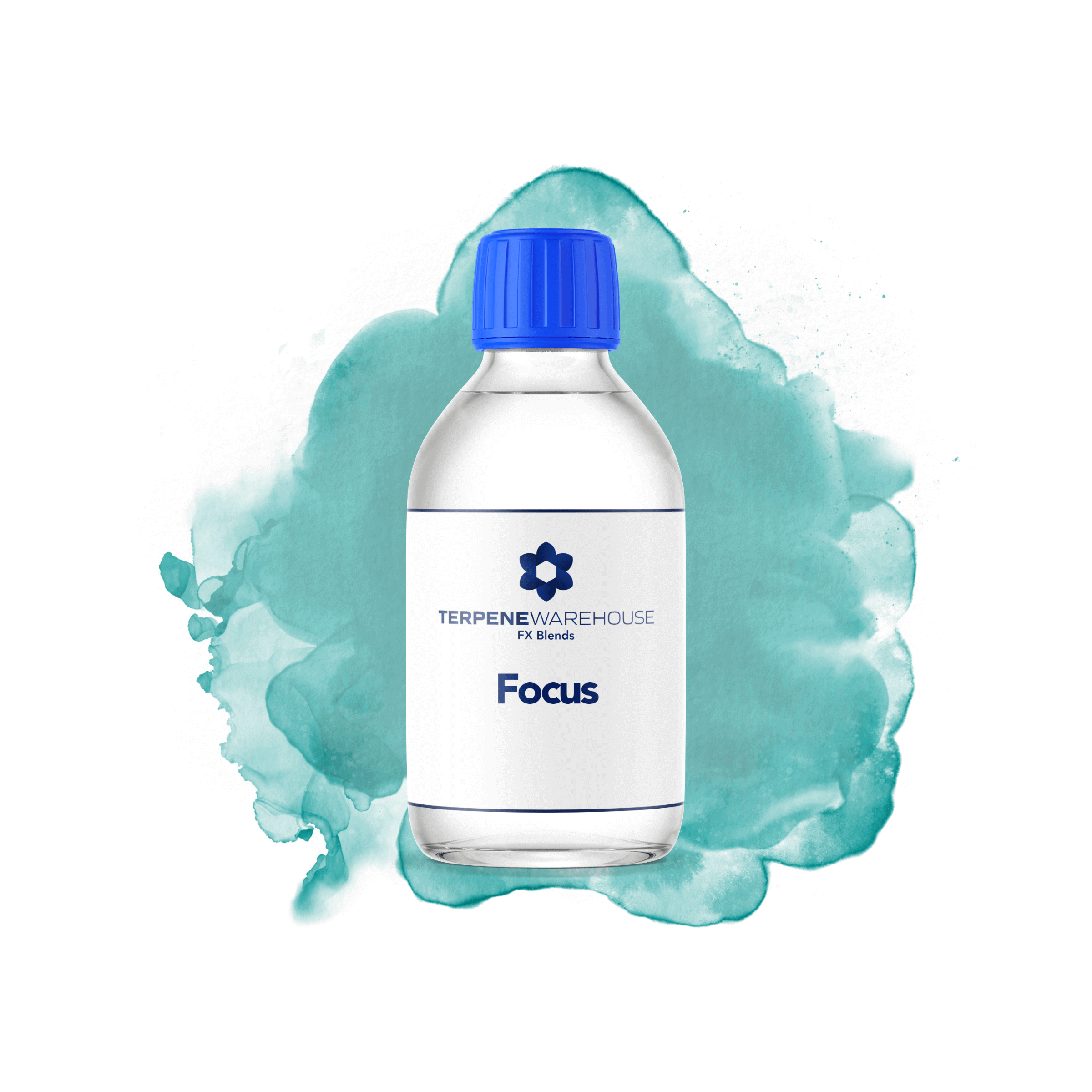Focus