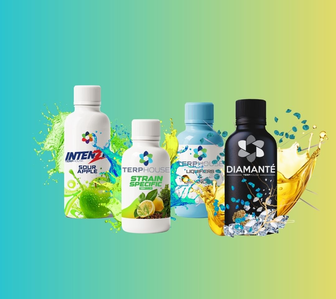 What Are Terpenes? Everything You Need to Know