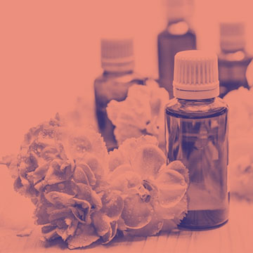 Differ Between Cannabinoids and Terpenes?