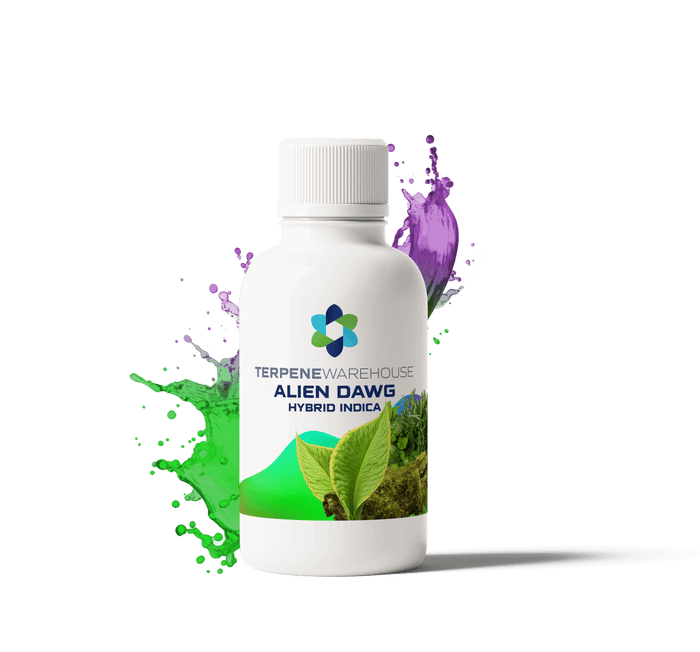 Alien Dawg Terpenes - Alien Dawg Strain Profile | TERPHOUSE