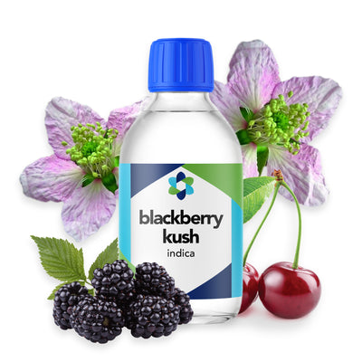 Blackberry Kush Aroma – Deep Berry with Herbal Accents