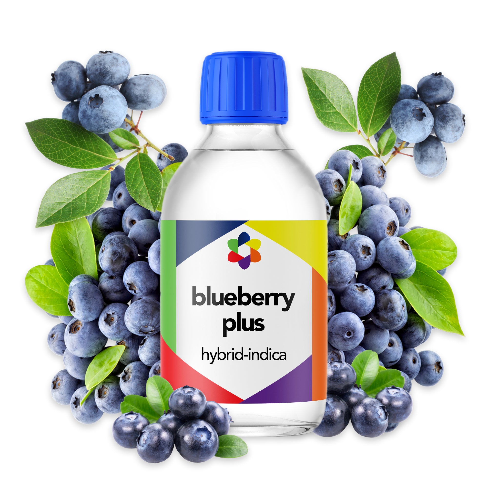 Blueberry Dessert Profile