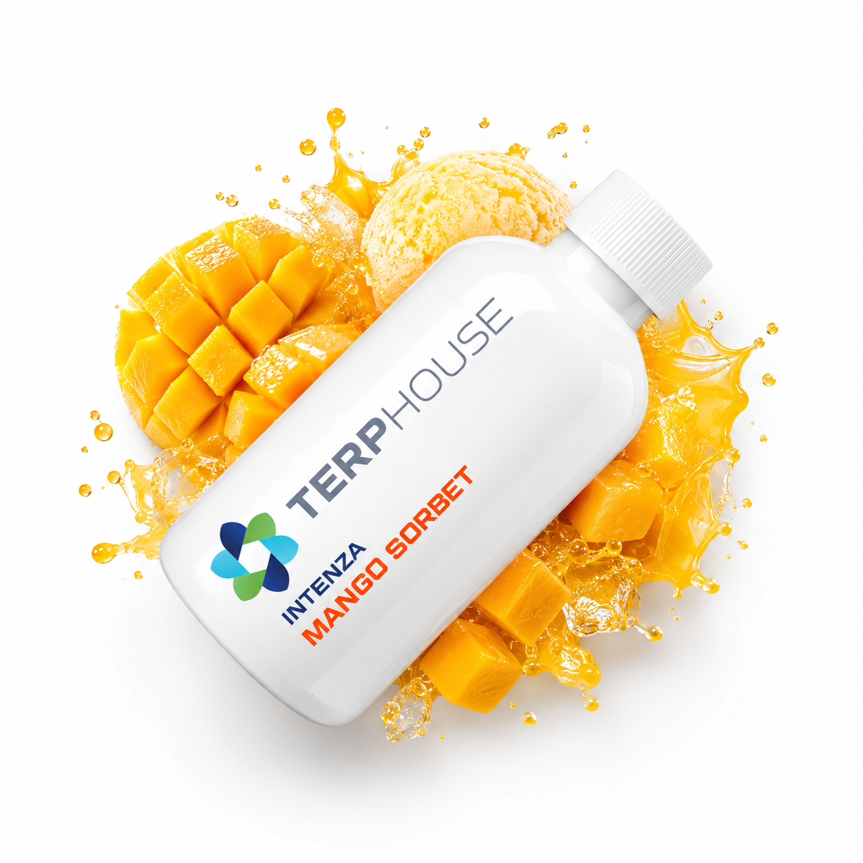 Mango Sorbet INTENZA