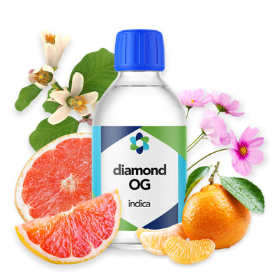 Diamond OG – Crisp Citrus-Pine Aroma with Fuel Undertones