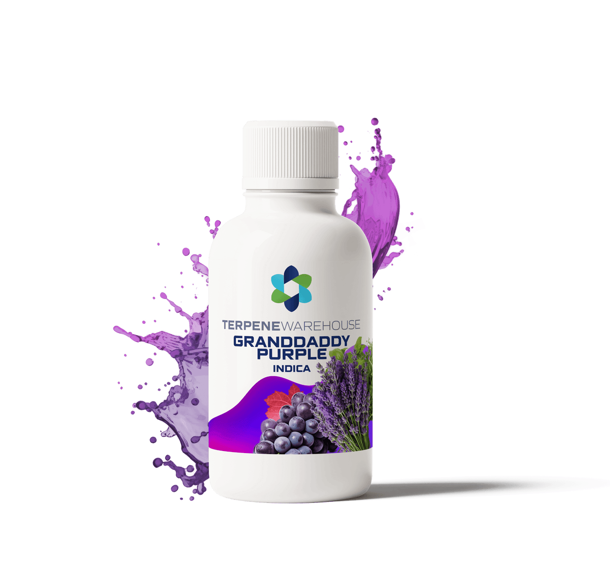 Granddaddy Purple - Indica Strain - Soothing Effects | TERPHOUSE