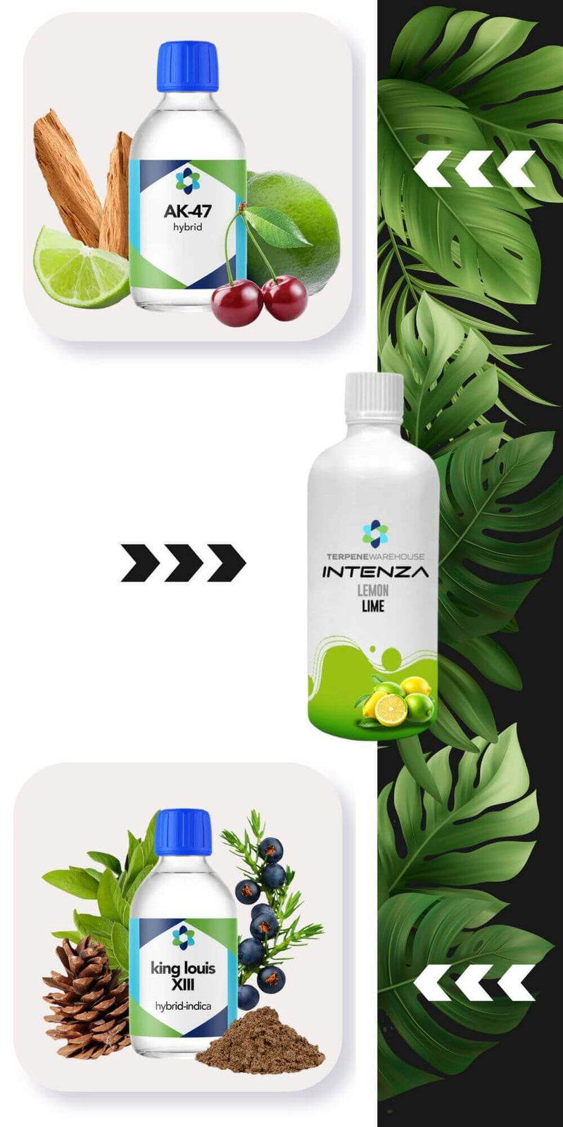 Terpene Warehouse Botanical Terpenes Features