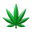 Strain Specific Terpenes