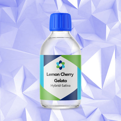 Lemon Slushy – Refreshing Lemon and Lime Combo