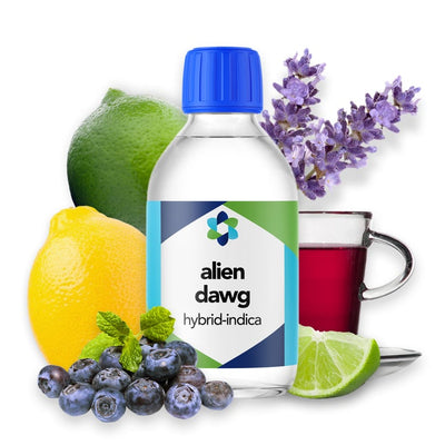 Alien Dawg Essence – Earthy Pine Aroma with Citrus Highlights