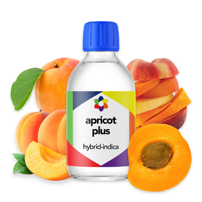 Apricot PLUS+ Aroma – Juicy Stone Fruit with a Tangy Edge