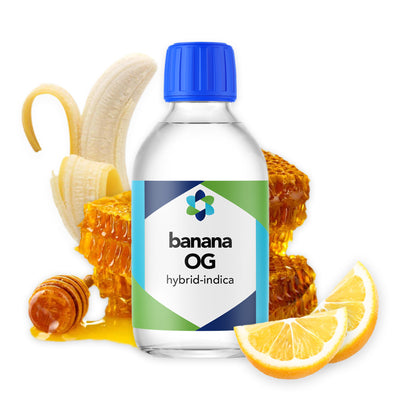 Banana Nut PLUS+ Blend – Sweet Banana and Toasty Walnut Notes