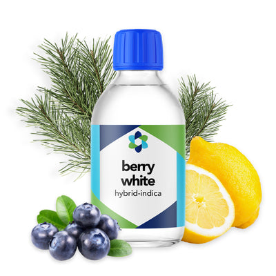 Berry White Scent – Balancing Sweetness with Earthy Undertones