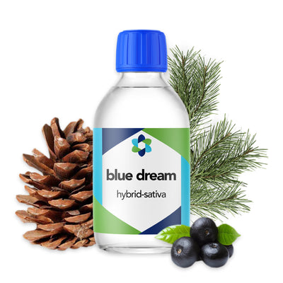 Blueberry Haze – Subtle Botanical Blend with Blueberry Essence