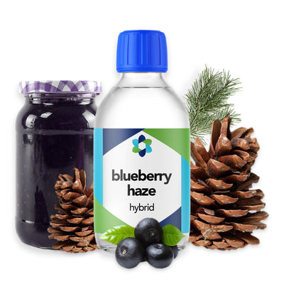 blueberry-haze-hybrid-botanical-terpene 