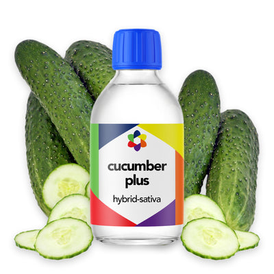 Cucumber PLUS+ – Cool and Refreshing Cucumber Hint