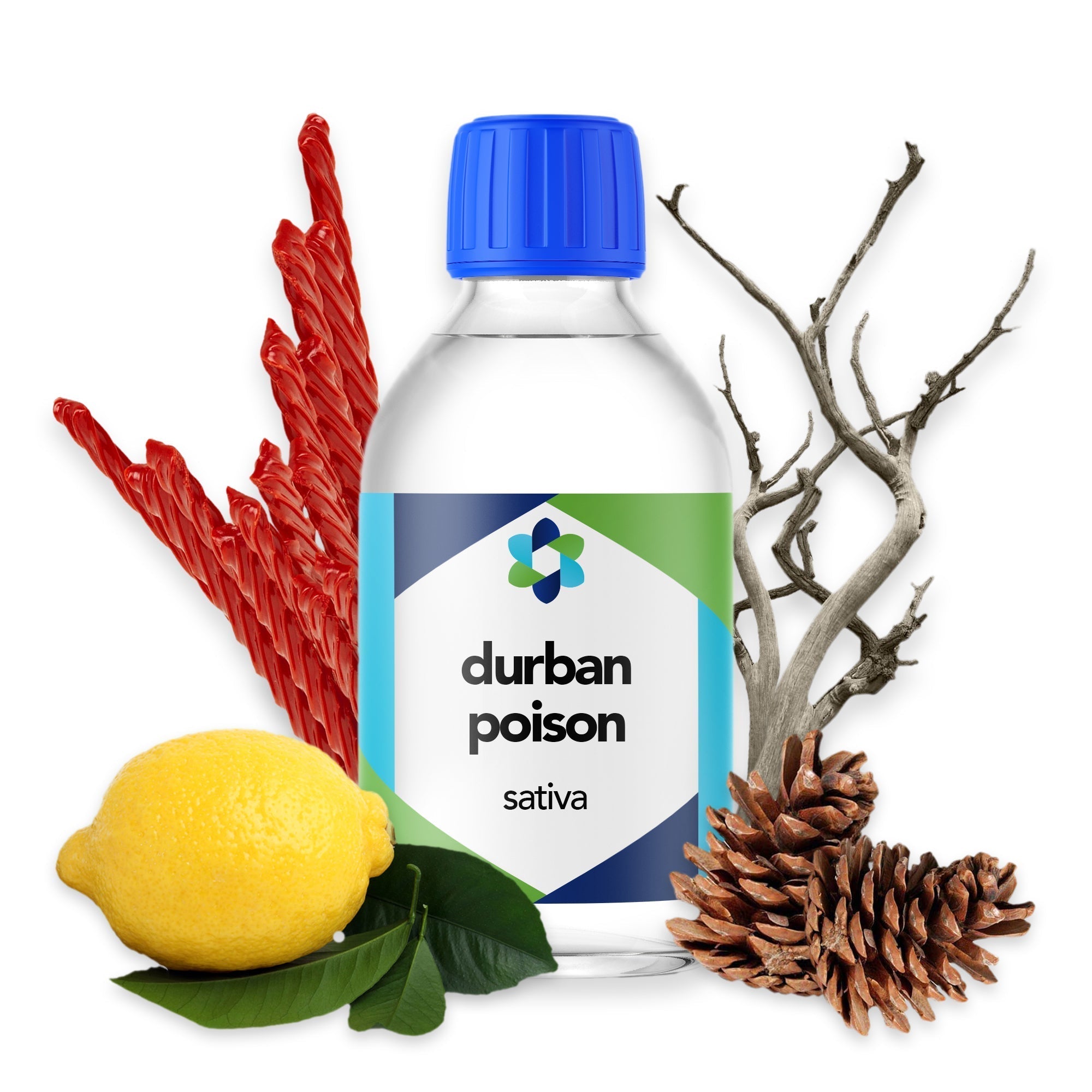 Unique Terpene Blend - Diverse Aromatic Notes Including Licorice, Citrus, Pine, and Wood