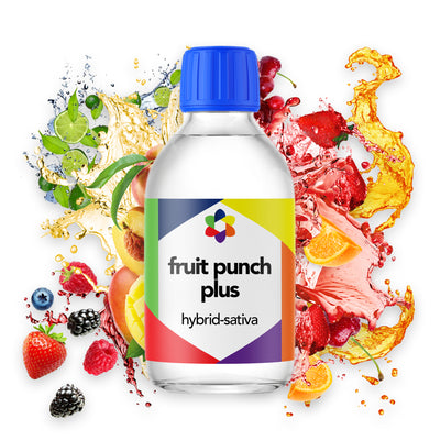 Fruit Punch PLUS+ – Tropical Fruit Symphony
