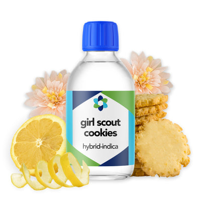girl-scout-cookies-hybrid-indica-botanical-terpene 