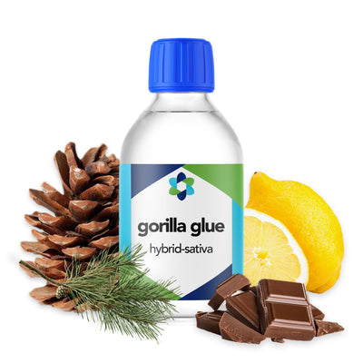 gorilla-glue-hybrid-sativa-botanical-terpene 