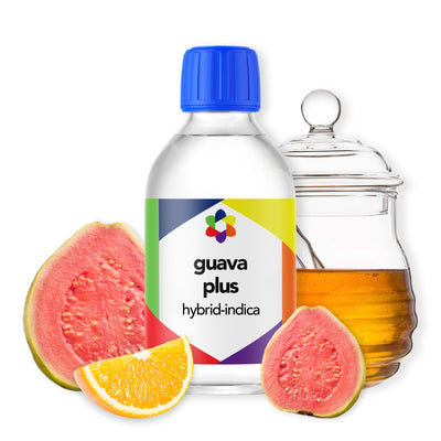 guava-hybrid-indica-botanical-terpene -plus