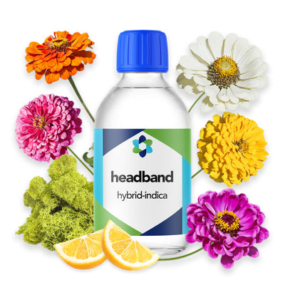 Headband – Lemon and Diesel Aromatic Blend