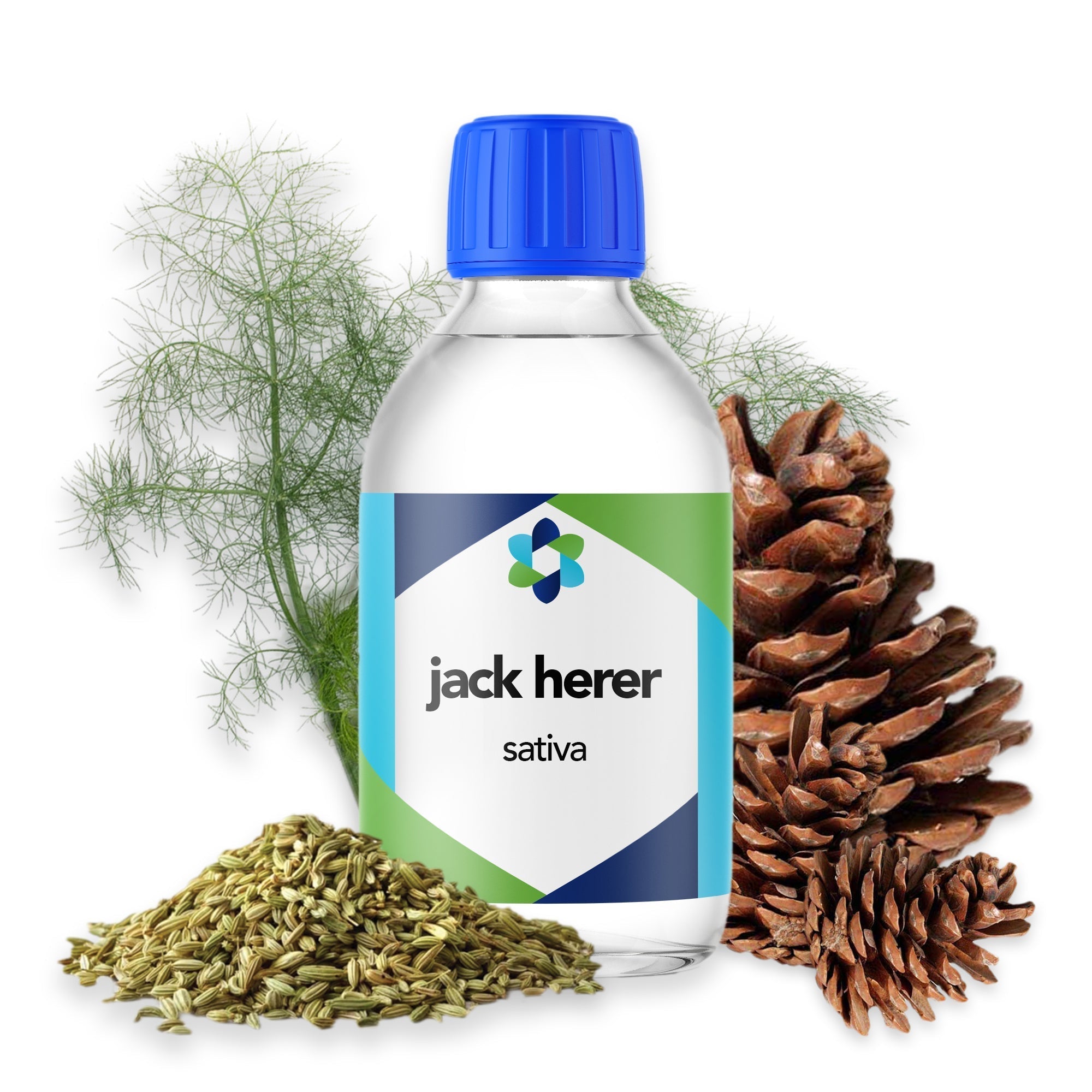 Jack Herer Terpenes - Sharp Pine Scent with Sweet and Citrus Notes