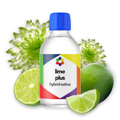 lime-hybrid-sativa-botanical-terpene -plus