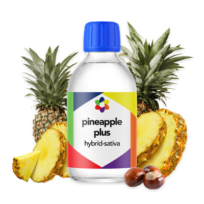 pineapple-hybrid-sativa-botanical-terpene -plus