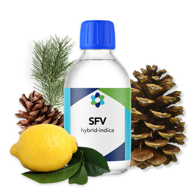 SFV-hybrid-indica-botanical-terpene 