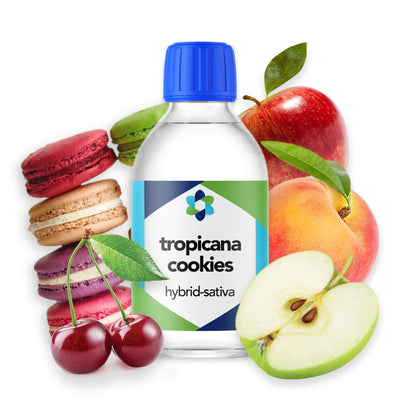 tropicana-cookies-hybrid-sativa-botanical-terpene 