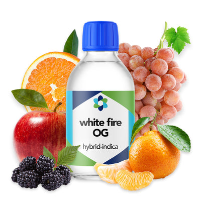 White Widow – Classic Citrus-Spice Sativa-Dominant Blend